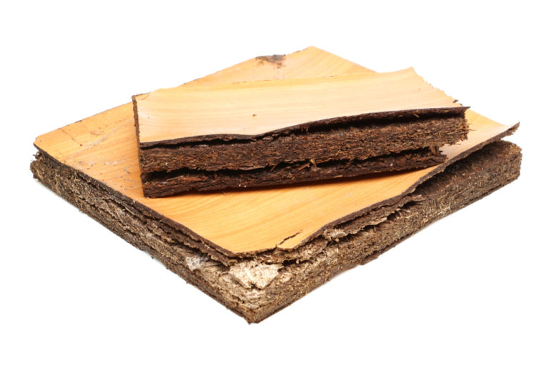 Sind MDF-Platten wasserfest? - Wissenswertes zur Wasserresistenz