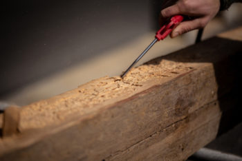 holzwuermer-im-dachstuhl