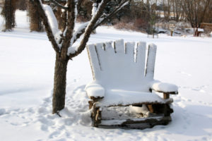 Der Holzwurm mag keinen Frost und lässt sich damit vertreiben