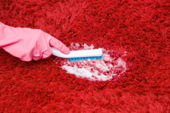 Hochflor Teppich Reinigen So Bekommen Sie Ihn Wieder Sauber