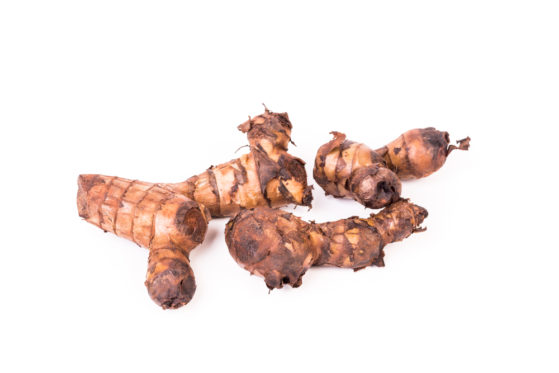Canna Knolle So überwintern und pflanzen Sie das Rhizom richtig