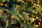 glycerin-weihnachtsbaum