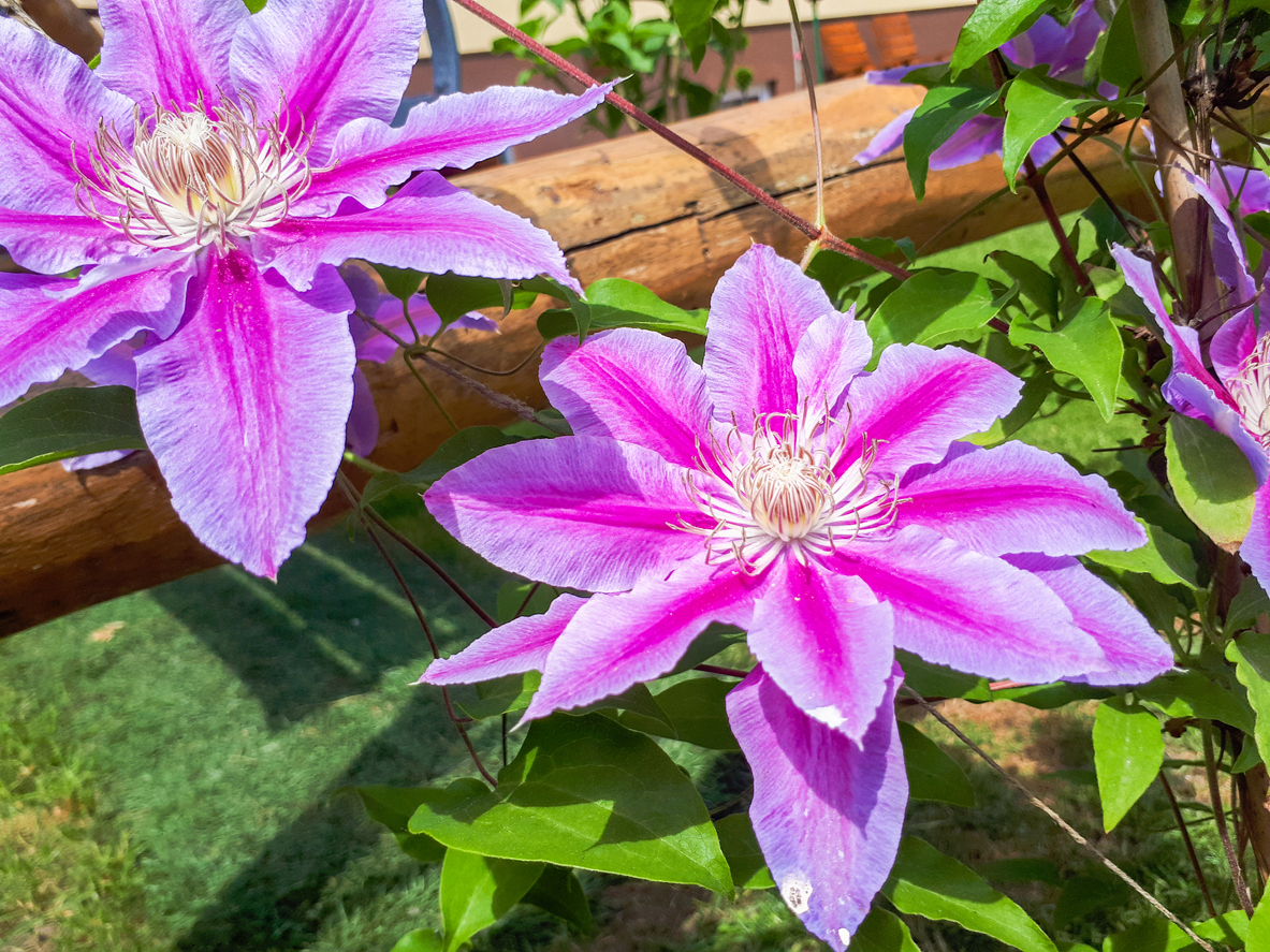 Die besten Tipps für einen unvergesslichen Familienurlaub