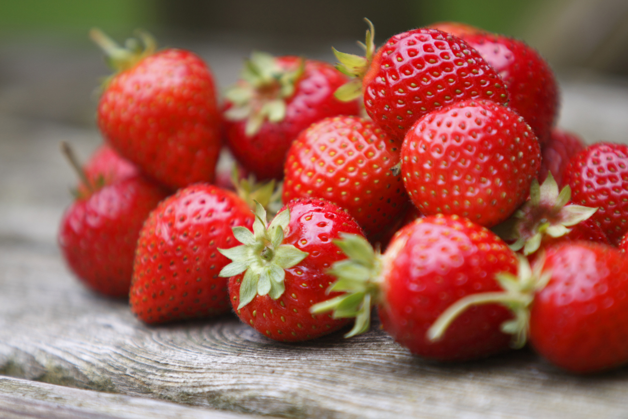 Gattung der Erdbeeren - Diese verschiedenen Arten und Sorten gibt es