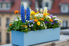 Blumenkasten auf Geländer befestigen » Tipps & Tricks