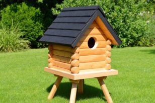 Vogelhaus am Baum befestigen ohne Nagel » So geht's